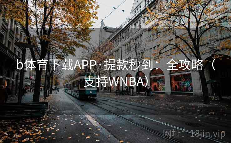b体育下载APP·提款秒到：全攻略（支持WNBA）
