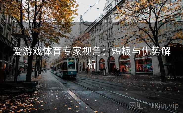 爱游戏体育专家视角：短板与优势解析