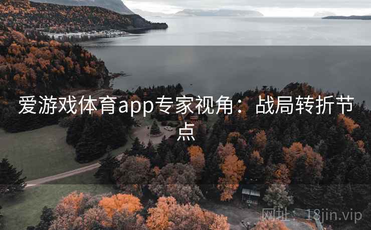 爱游戏体育app专家视角：战局转折节点
