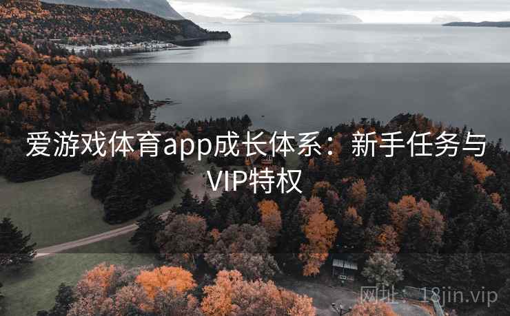 爱游戏体育app成长体系：新手任务与VIP特权