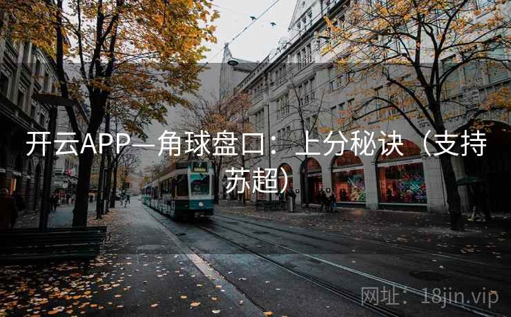 开云APP—角球盘口：上分秘诀（支持苏超）
