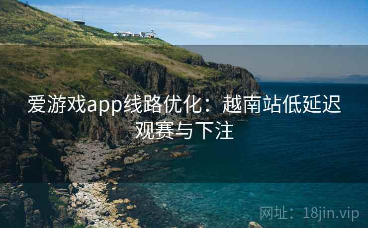 爱游戏app线路优化：越南站低延迟观赛与下注