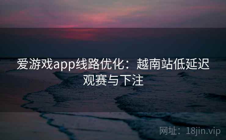 爱游戏app线路优化：越南站低延迟观赛与下注