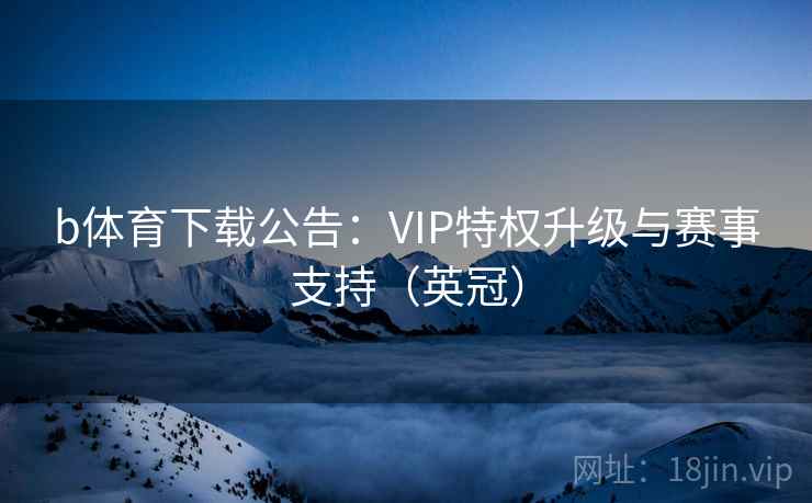 b体育下载公告：VIP特权升级与赛事支持（英冠）