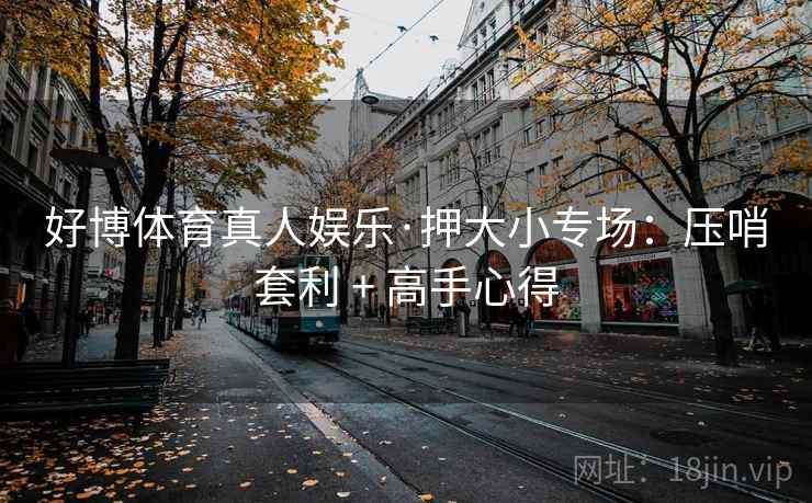 好博体育真人娱乐·押大小专场：压哨套利 + 高手心得