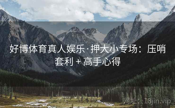 好博体育真人娱乐·押大小专场：压哨套利 + 高手心得